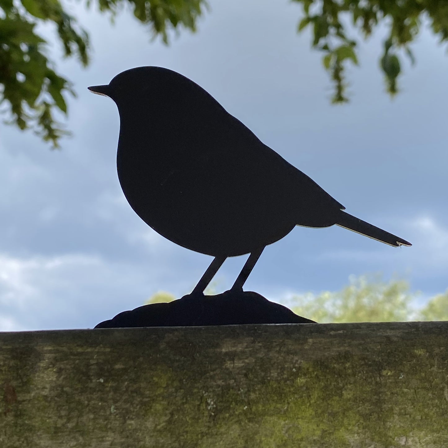 Collection of British garden bird silhouettes displayed on a wooden fence including robin, blackbird and more