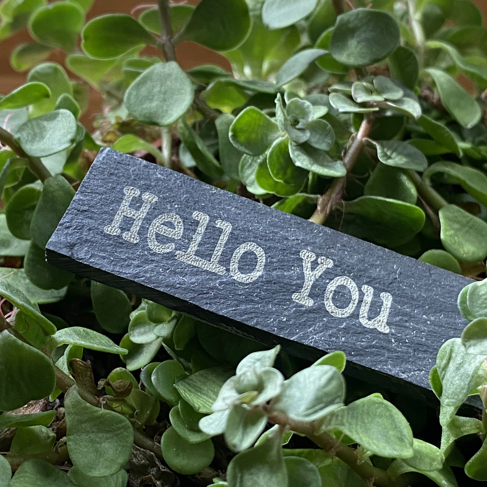 Slate garden marker with engraved design shown with houseplant for gifting