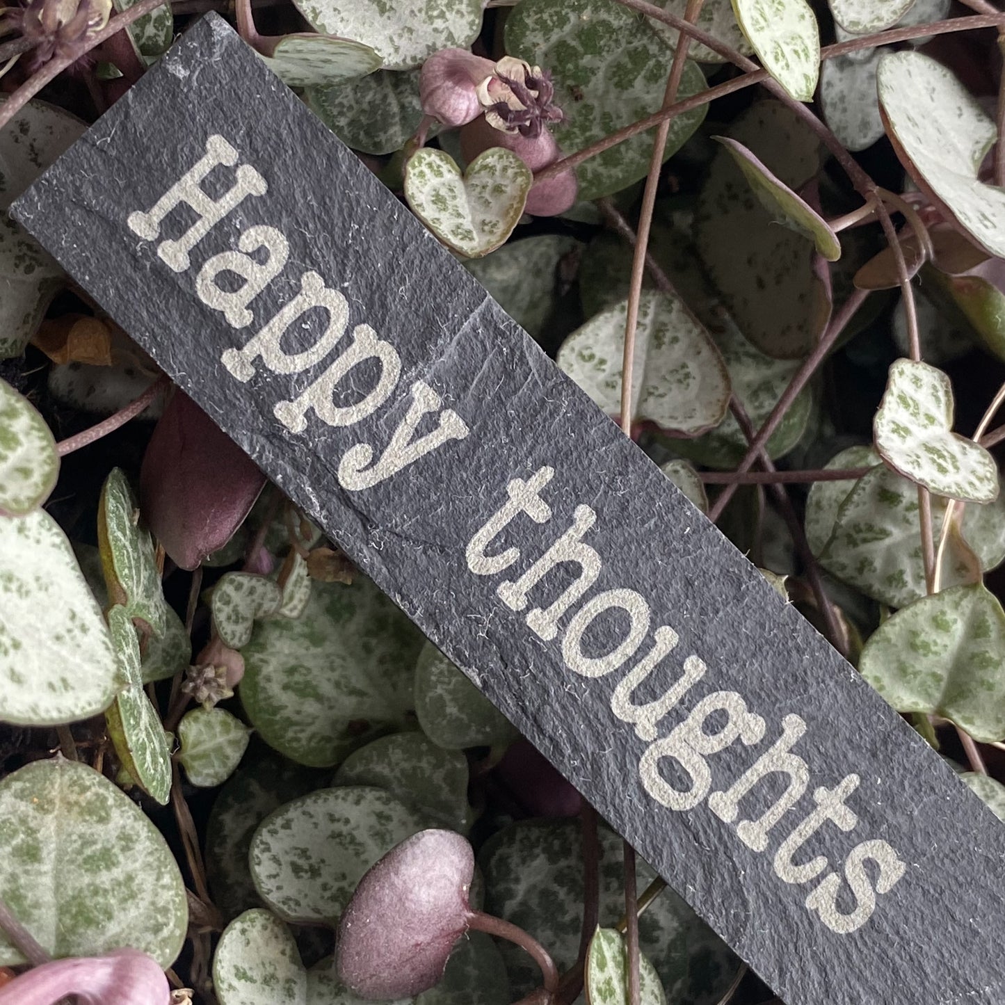 Close-up of ‘Happy Thoughts’ engraved wooden pebble resting on indoor plants leaves
