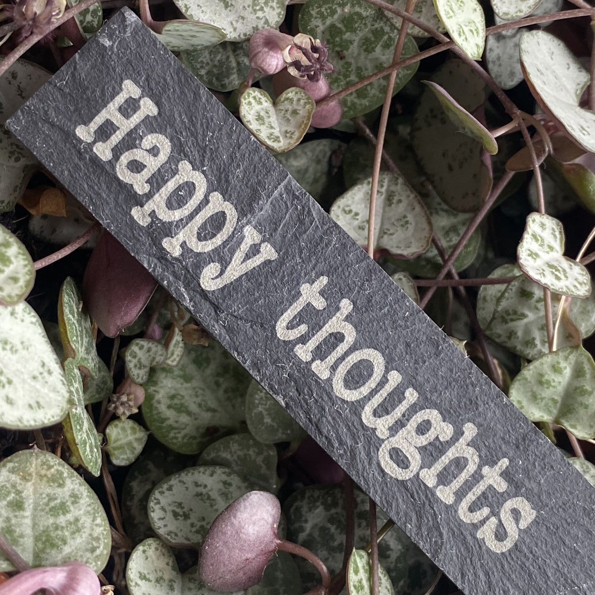 Close-up of ‘Happy Thoughts’ engraved wooden pebble resting on indoor plants leaves