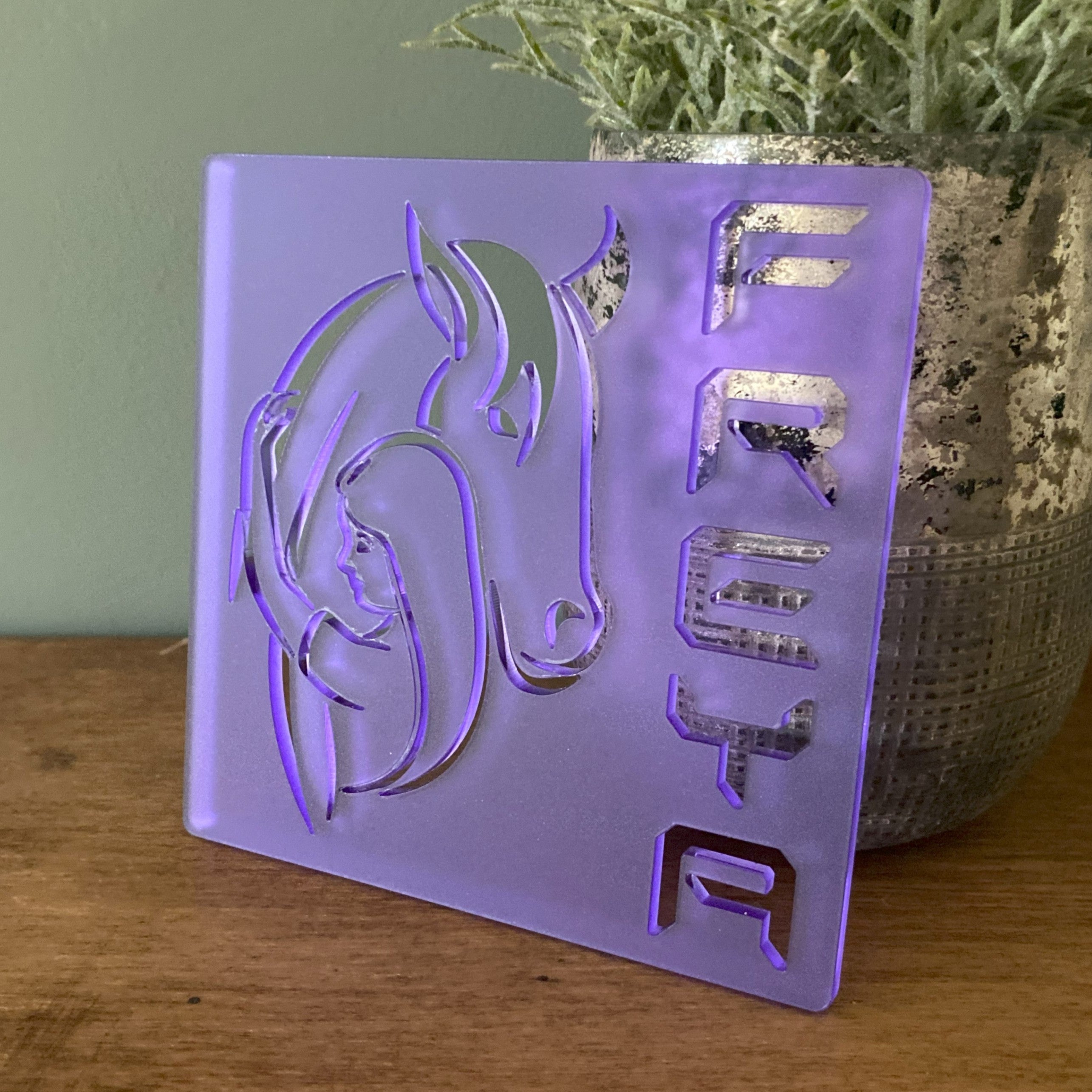 Custom acrylic door sign featuring name, designed for home, stables, tack rooms, or equestrian gifts