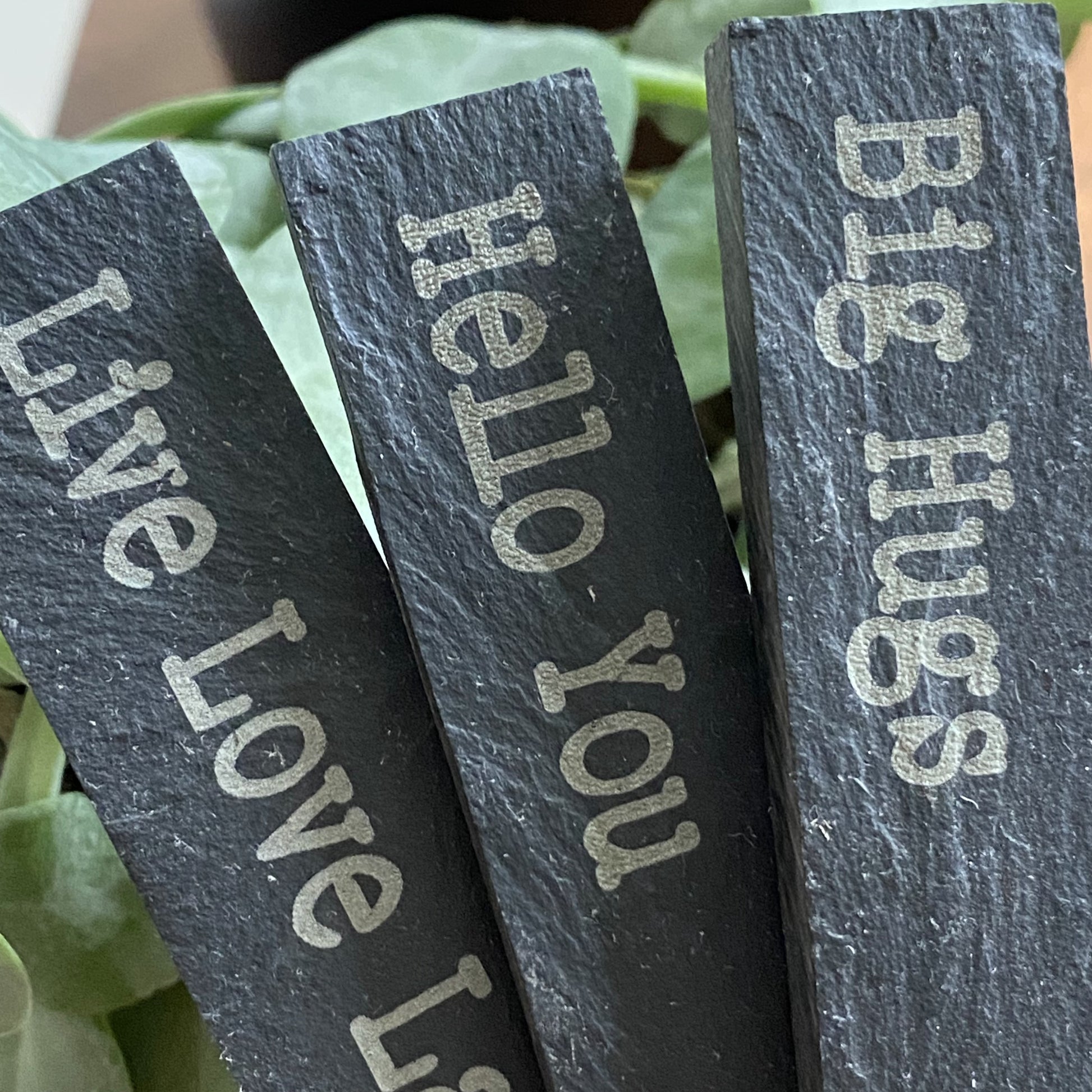 Close-up of three engraved slate markers from the Love and Affirmation ranges with plants in the background