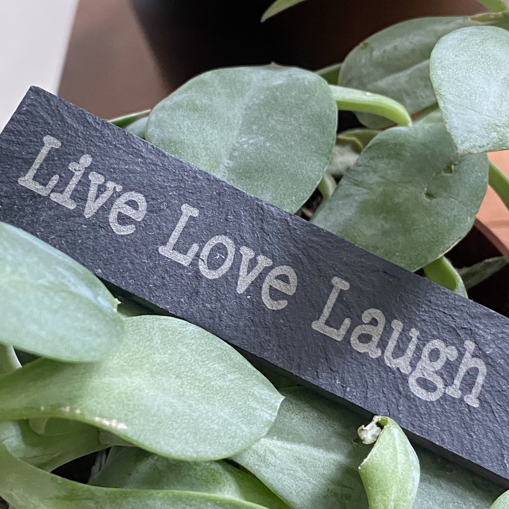 Inspirational slate plant tag engraved with ‘Live Love Laugh’ design shown in a potted houseplant