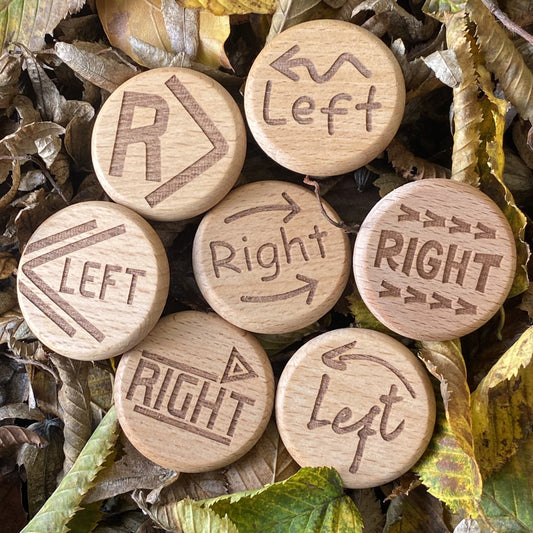 Full set of Penny Hike Coins resting on autumn leaves, capturing the spirit of outdoor adventures