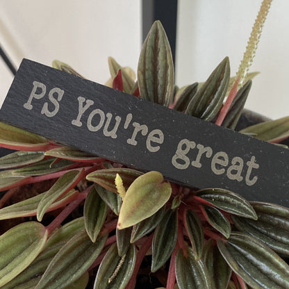 Engraved slate plant marker reading ‘PS You’re Great’ – affirmation gift for plant lovers
